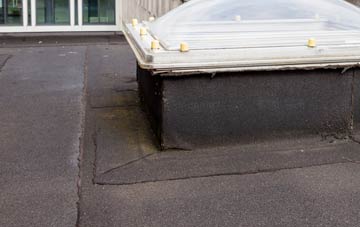 disadvantages of Drumsurn flat roofs