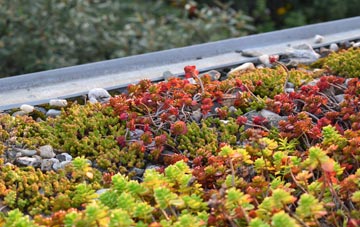 the cost of Drumsurn green roof installation