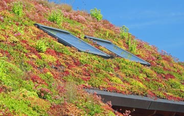 Drumsurn living roof systems
