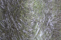 Drumsurn fibreglass roof work